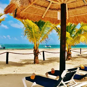 https://arrecifes-suites.quintano-roohotels.com